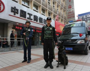 駐?？谌f綠園停車場安保服務(wù)